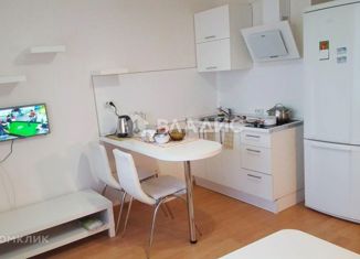 Продам квартиру студию, 24 м2, Мурино, проспект Авиаторов Балтики, 7, ЖК Виктория