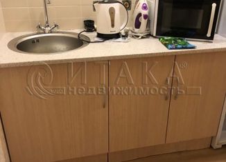 Сдается квартира студия, 26 м2, Мурино, Петровский бульвар, 7, ЖК Ласточка