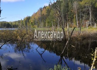 Продается участок, 340 сот., Мийнальское сельское поселение