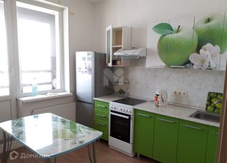 1-комнатная квартира в аренду, 35 м2, деревня Кудрово, Венская улица, 4к2