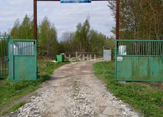 Продается участок, 5 сот., Бор