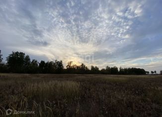 Продажа участка, 10 сот., деревня Малиновка 1-я, Малиновая улица, 29