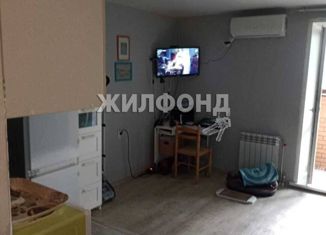 Продаю 1-комнатную квартиру, 27 м2, Новосибирск, микрорайон Стрижи, 1, ЖК Кленовая аллея