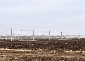 Продаю участок, 8 сот., село Новобессергеневка, Садовая улица