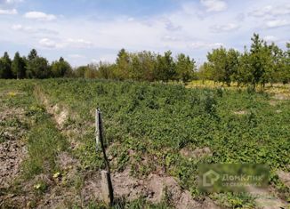 Участок на продажу, 15 сот., деревня Медведково, деревня Медведково, 19