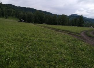 Продается земельный участок, 440 сот., поселок Верх-Анос, Центральная улица