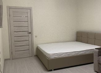 Сдается в аренду 1-комнатная квартира, 44 м2, Самара, улица Гая, 22, метро Российская