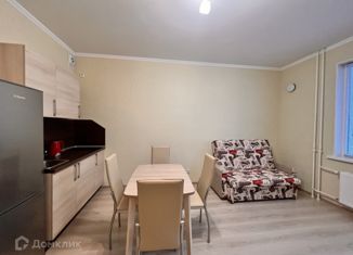 Квартира на продажу студия, 23.9 м2, городской посёлок Янино-1, ЖК Ясно-Янино, Ясная улица