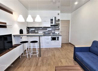 Сдается в аренду квартира студия, 25 м2, посёлок Мурино, улица Шувалова, 27/7