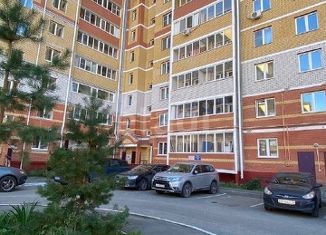 Продается квартира студия, 30 м2, Йошкар-Ола, улица Петрова, 27, микрорайон Молодёжный