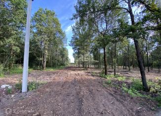 Продаю земельный участок, 6 сот., деревня Курово (Никулинское сельское поселение), Светлая улица