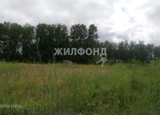 Участок на продажу, 11 сот., поселок Крупской, Ямская улица