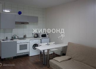 Продам квартиру студию, 24.5 м2, Новосибирск, улица Дмитрия Донского, 24/1, улица Дмитрия Донского