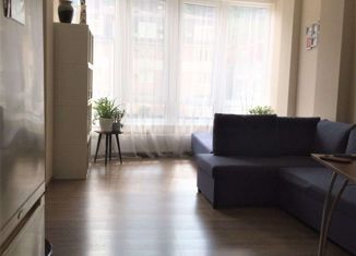 Продам однокомнатную квартиру, 33.5 м2, село Краевско-Армянское, Измайловская улица, 20А