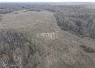 Земельный участок на продажу, 8 сот., село Горьковка, Сибирская улица