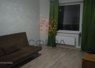 1-комнатная квартира в аренду, 34 м2, Новосибирская область, улица Титова, 257