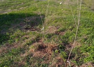 Продаю земельный участок, 20 сот., деревня Мюреля