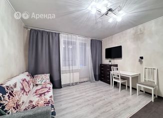 Сдается в аренду квартира студия, 27 м2, Санкт-Петербург, Пулковское шоссе, 38к2, ЖК Летний