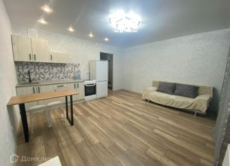 Квартира в аренду студия, 33 м2, Татарстан, улица Тёплых Встреч, 4