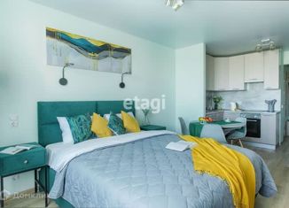 Квартира на продажу студия, 25.8 м2, Санкт-Петербург, проспект Металлистов, 117, проспект Металлистов