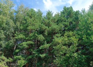 Продам участок, 12.25 сот., село Выползово, Приозёрная улица, 285