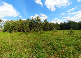 Продаю земельный участок, 20 сот., деревня Дубки