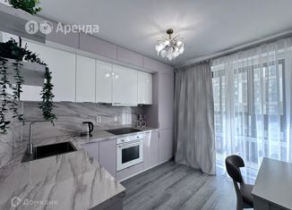 1-комнатная квартира в аренду, 34 м2, посёлок Парголово, Михайловская дорога, 14к1