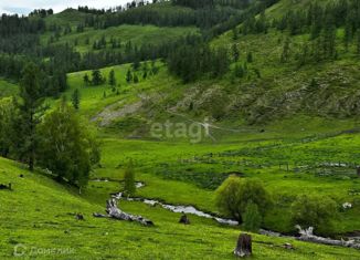 Продаю участок, 790 сот., село Шебалино, Советская улица