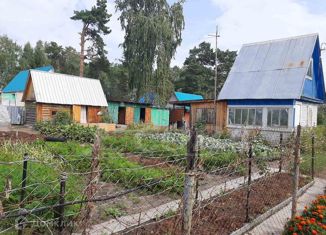 Продажа дома, 30 м2, садовое общество Птицевод, садовое общество Птицевод, 212