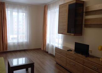 Сдача в аренду двухкомнатной квартиры, 60 м2, Санкт-Петербург, ЖК Солнечный Город, проспект Ветеранов, 169Г