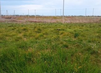 Продажа участка, 5.6 сот., станица Голубицкая, Ромашковая улица