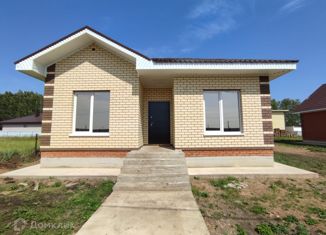 Продается дом, 95 м2, деревня Елкибаево, Гусарская улица