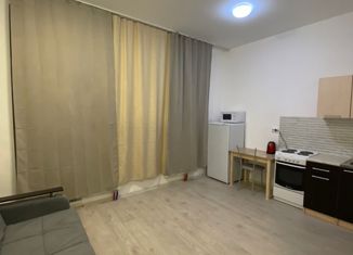 Сдается квартира студия, 25 м2, Мурино, Ручьёвский проспект, 15, ЖК Айди Мурино