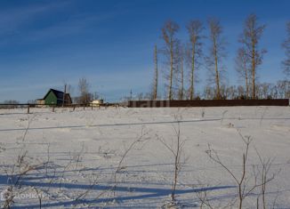 Продажа земельного участка, 18 сот., село Сосновка, улица Шория