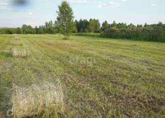 Продам земельный участок, 30 сот., деревня Кощеево