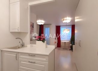 Продажа квартиры студии, 28 м2, Мурино, Новая улица, 15, ЖК Новое Мурино