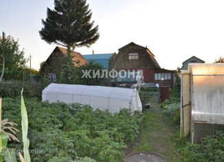 Дом на продажу, 42 м2, Новосибирск, метро Площадь Маркса