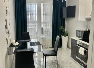 Продажа 1-комнатной квартиры, 40 м2, Краснодар, Старокубанская улица, 139, ЖК Элегант