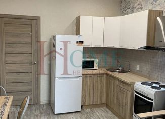 Сдается 1-ком. квартира, 40 м2, Новосибирск, метро Октябрьская, Тополёвая улица, 27