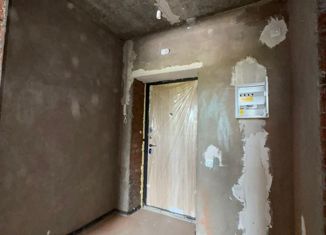 Продается 1-ком. квартира, 33 м2, деревня Ветошниково, улица Ивана Спатара, 12