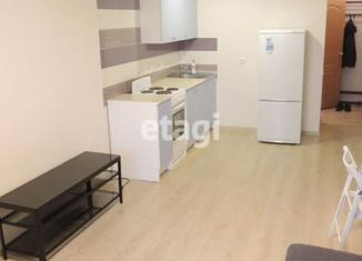 Продам квартиру студию, 26.7 м2, Санкт-Петербург, метро Комендантский проспект, Богатырский проспект, 49к1