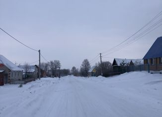 Продается дом, 47.7 м2, деревня Новые Ерыклы, Центральная улица