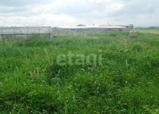 Продажа земельного участка, 15 сот., село Смородинка