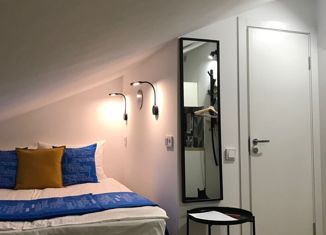 Квартира на продажу студия, 18 м2, Санкт-Петербург, Тележная улица, 13В, метро Площадь Александра Невского-2