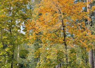 Продается участок, 270 сот., поселок Николина Гора