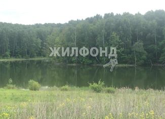 Продам земельный участок, 15 сот., посёлок Хвощевский, Речная улица