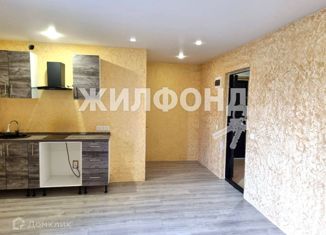 Продам 1-ком. квартиру, 28 м2, Новосибирск, улица Территория Горбольницы, 2, улица Территория Горбольницы