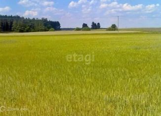 Продам участок, 500 сот., Конское сельское поселение