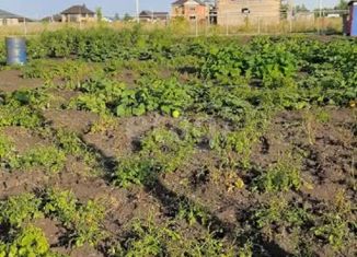 Участок на продажу, 10.5 сот., село Новый Краснояр, Соборная улица