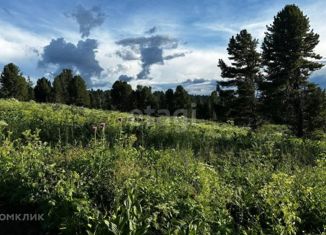 Продаю земельный участок, 829 сот., село Нижний Куюм